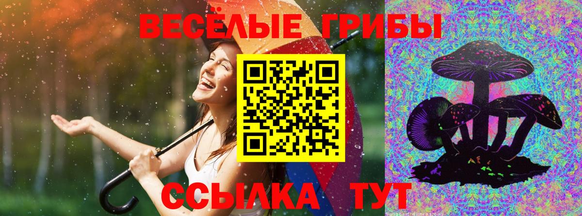 Владимир  Псилоцибиновые грибы GOLDEN TEACHER  Вход с VPN 